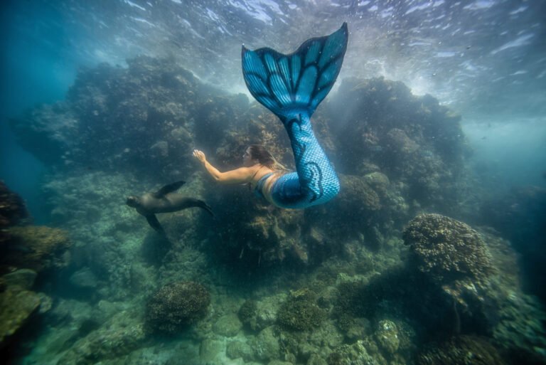 COPYRIGHT Creative Island Visions-CP